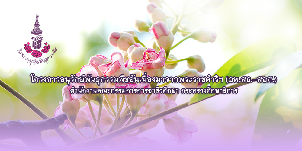 โครงการอนุรักษ์พันธุกรรมพืชอันเนื่องมาจากพระราชดำริ